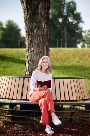 Woman with book sitting on bench under treeの写真素材