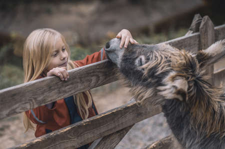 A blonde girl standing near the cattle-pen with donkyes and smilingの写真素材