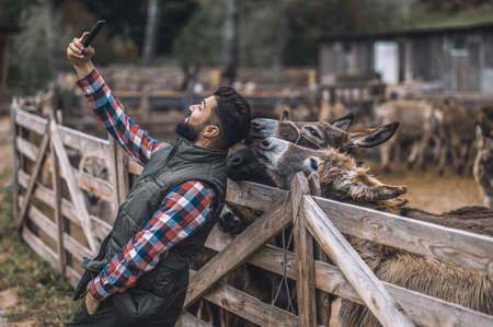 Cheerful farmer making selfie with donkeysの写真素材