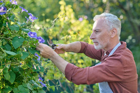 Mid aged man working in a garden with gtareden inventoryの写真素材