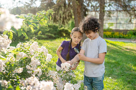 Two teens examining a cluster of flowers in the park