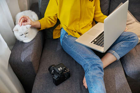 A woman sitting on the sofa with a cat and working