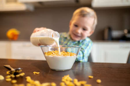 Little boy making cold oatmeal for breakfastの写真素材