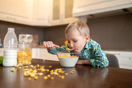 Cute hungry little Caucasian boy having breakfastの写真素材