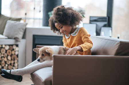 Dark-skinned girl playing with a cute dogの写真素材