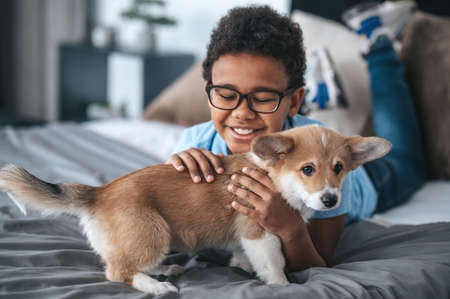 Smiling boy playing with a puppy and looking contented