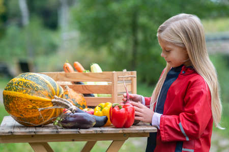 Long-haired blonde girl looking busy while sorting veggiesの写真素材