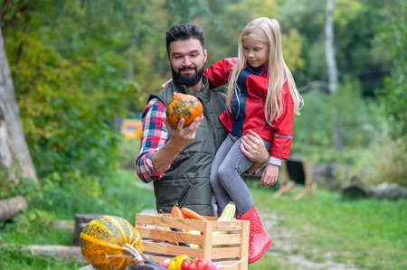 Dad and daughter spending time on a farm sorting the vegetablesの写真素材