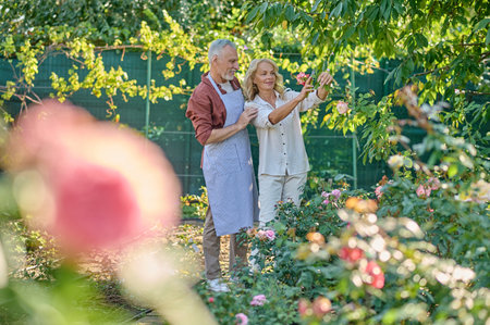 Man hugging woman touching flower on bushの写真素材