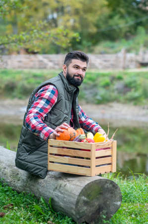 A dark-haired man in plaid shirt with a box with veggiesの写真素材