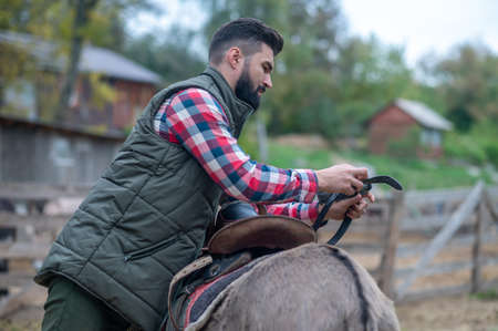 A man in plaid shirt working on cattle-farmの写真素材
