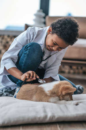 Dark-skinned boy in a lab coat examining a puppyの写真素材