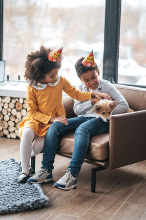 Two kids in bday hats celerating puppys birthdayの写真素材