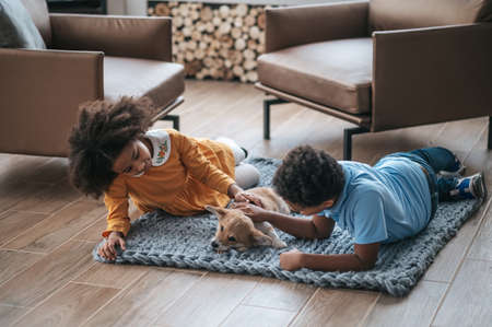 Kids lying on the floor next to their pet and looking happyの写真素材