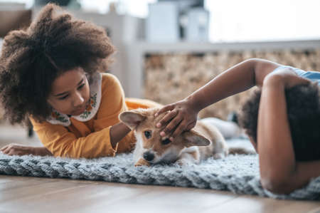 Kids lying on the floor next to their pet and looking happyの写真素材