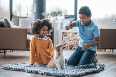 Two curly-haired kids playing with the puppy