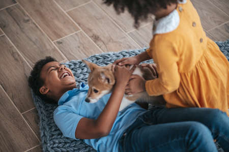 Siblings playing with the dog and looking excited