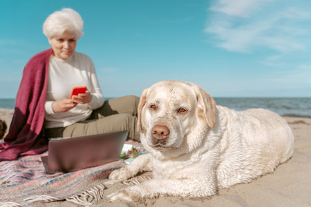 Senior woman and her cute dog on the seashoreの写真素材