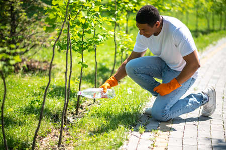 Man crouched watering small tree in park