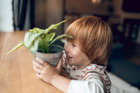 Cute ginger boy hoding a flower pot with a home plantの写真素材