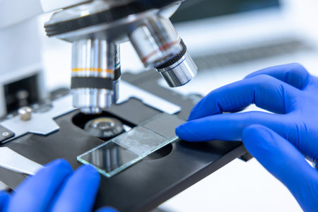 Researchers doing microscopic endoscopy to examine degradation of cells, lab experiments.の写真素材