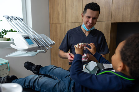 Dark-haired doctor showing denture to the cute little patientの写真素材