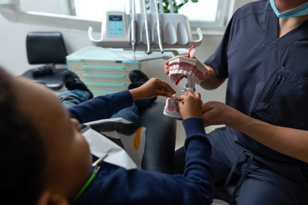Dark-haired doctor showing denture to the cute little patientの写真素材