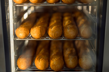 Cooking fresh crispy baguettes in oven at bakeryの写真素材