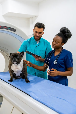 Two veterinarians discussing treatment for the sick dog and looking involved