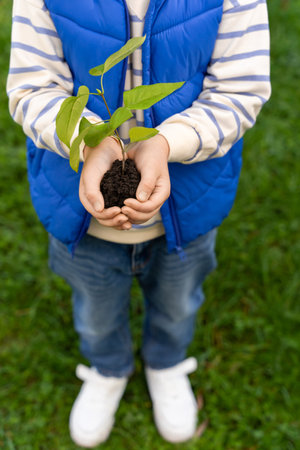 Child holding small plant with fresh leaves learning about value of protecting earths resourcesの写真素材