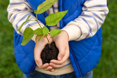 Child holding small plant with fresh leaves learning about value of protecting earths resourcesの写真素材