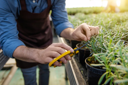 Male greenhouse worker cutting the plants with pruning shears