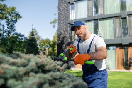 Male landscaper shaping shrubs with garden shears in front of buildingの写真素材