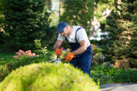 Worker using pruning shears to shape decorative bush in green courtyardの写真素材