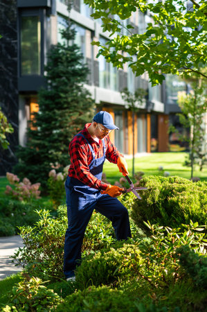 Professional landscaper taking care of ornamental plants in modern complex