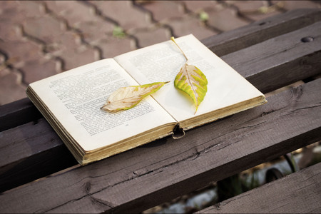 open book on a bench with an autumn leaf