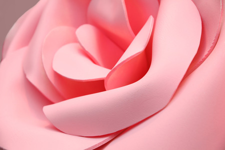 Flower closeupの写真素材