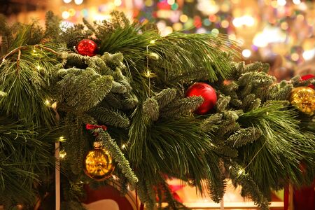 Natural branches of spruce branches, Christmas backgroundの写真素材