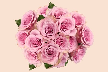 Bouquet with roses, pink and lilac vintage varieties of flowers and leaves の写真素材
