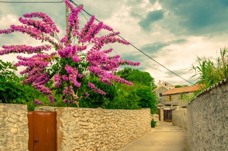 Alley in Veli Losinj Croatiaの写真素材