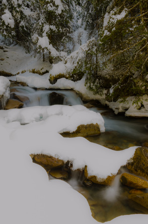 Bach in the thawingの写真素材