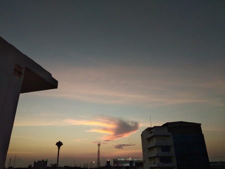 Bird cloud on sky