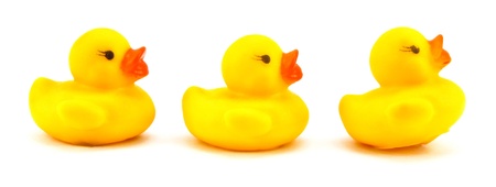 Family duck toy a over white backgroundの写真素材