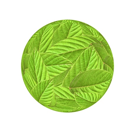 Green Earth - the entire surface is covered with leaf