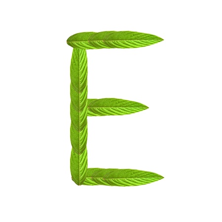 Green alphabet mixed with leaf isolated on white backgroundの写真素材