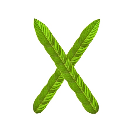 Green alphabet mixed with leaf isolated on white backgroundの写真素材