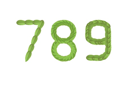 The Numbers made of lush green leavesの写真素材