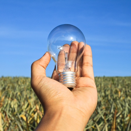 lightbulb in hand with clear nature conservation conceptの写真素材