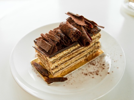 delicious slice of chocolate cake on a plate