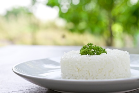 plain rice on white plateの写真素材
